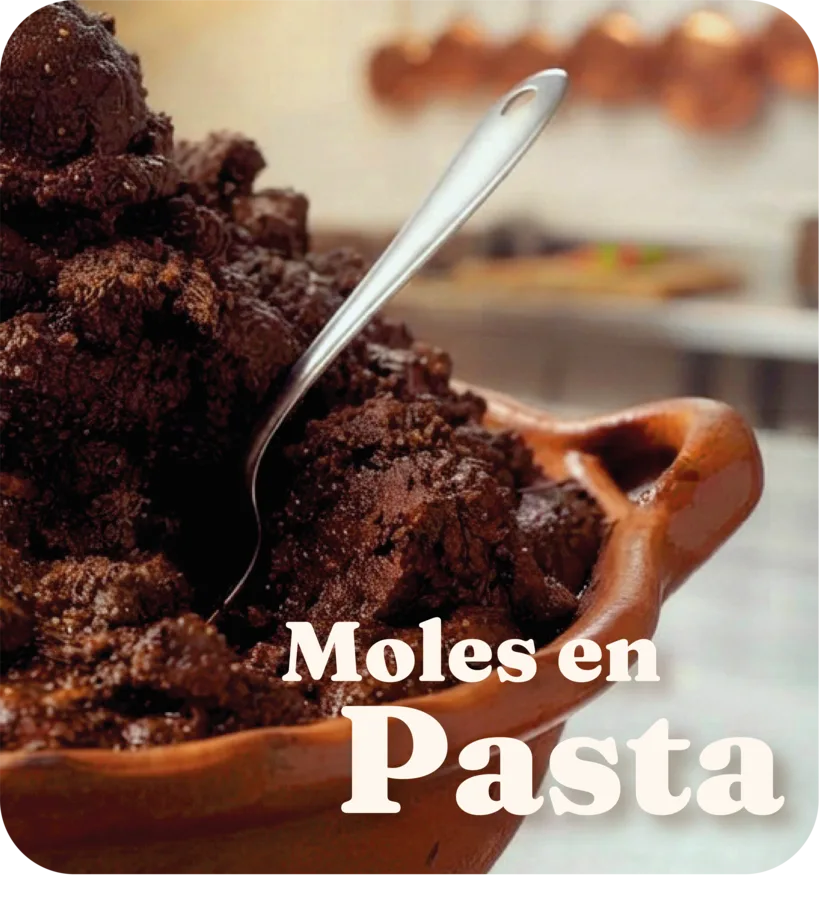 Moles en pasta Mole El Jubileo